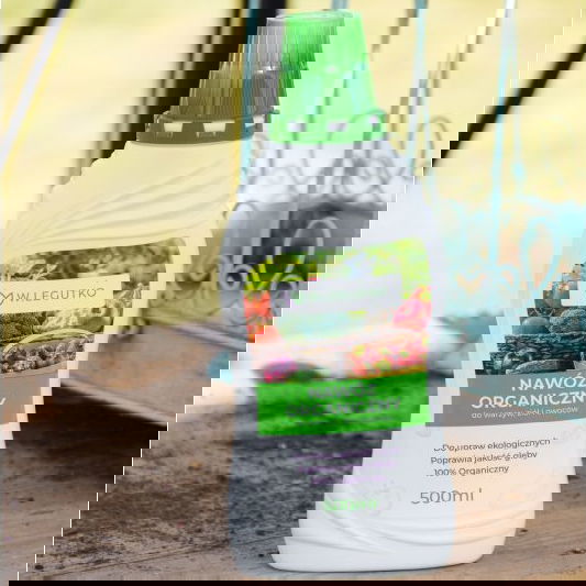 slide-image