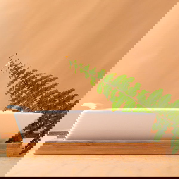 slide-image
