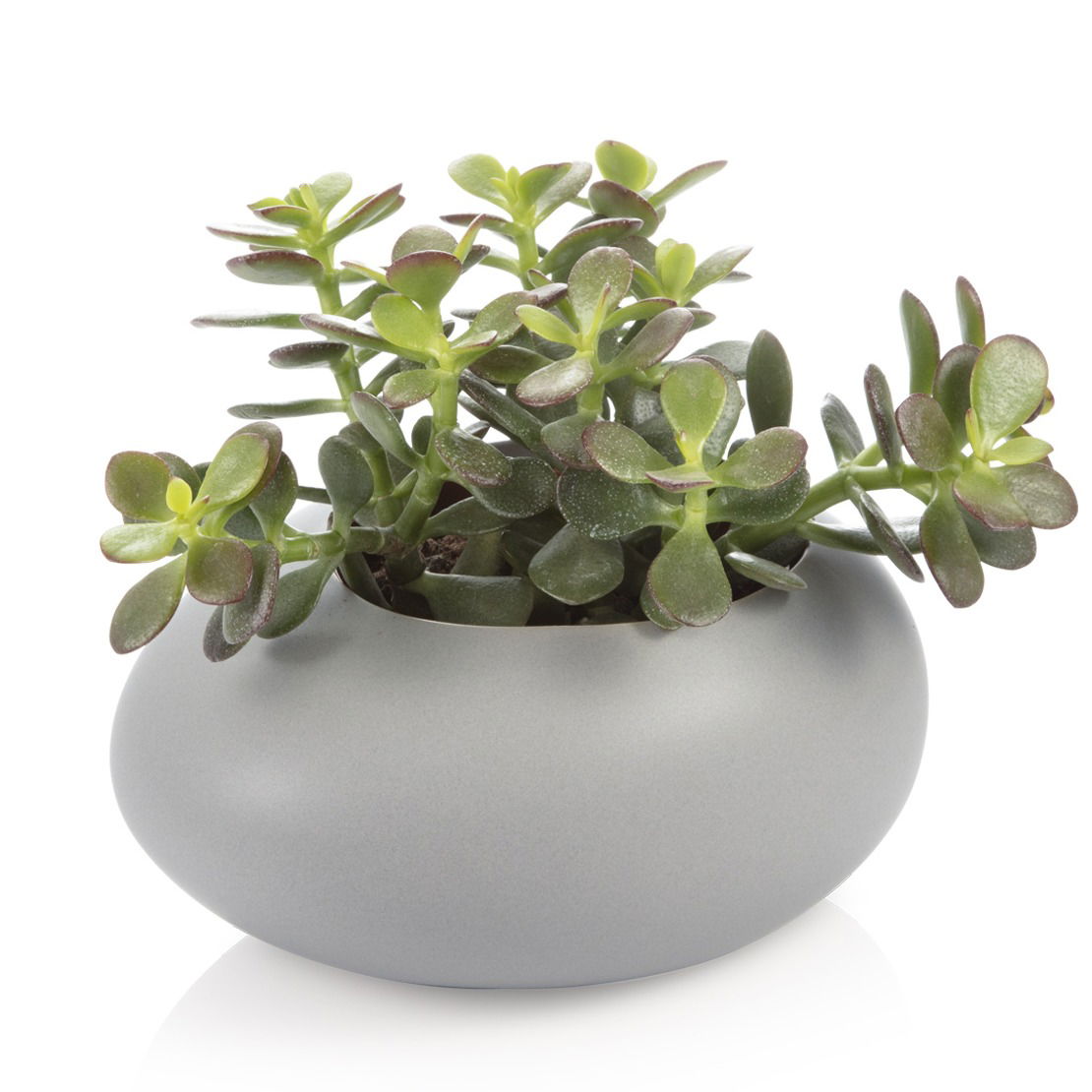 TESCOMA Fancy Home Stones Round 9,5 cm sivá - kvetináč / keramický obal na kvety