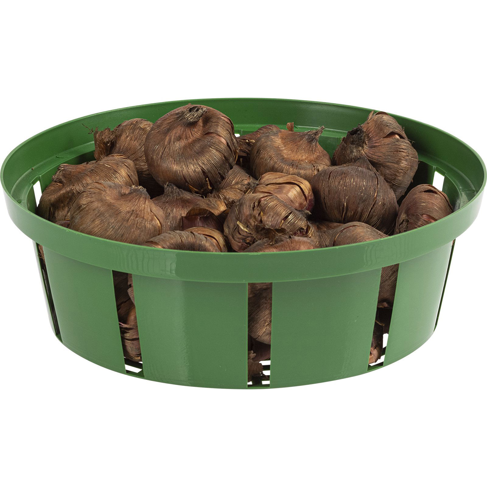 BIOOGRÓD 18 cm - kôš na výsadbu cibúľ / tulipánov