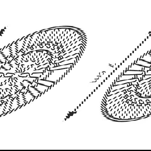 slide-image
