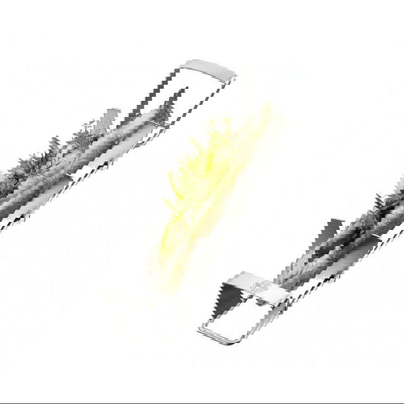 slide-image