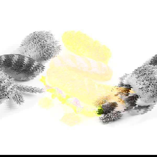 slide-image