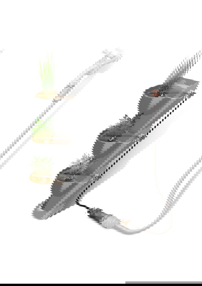 ancillary-image