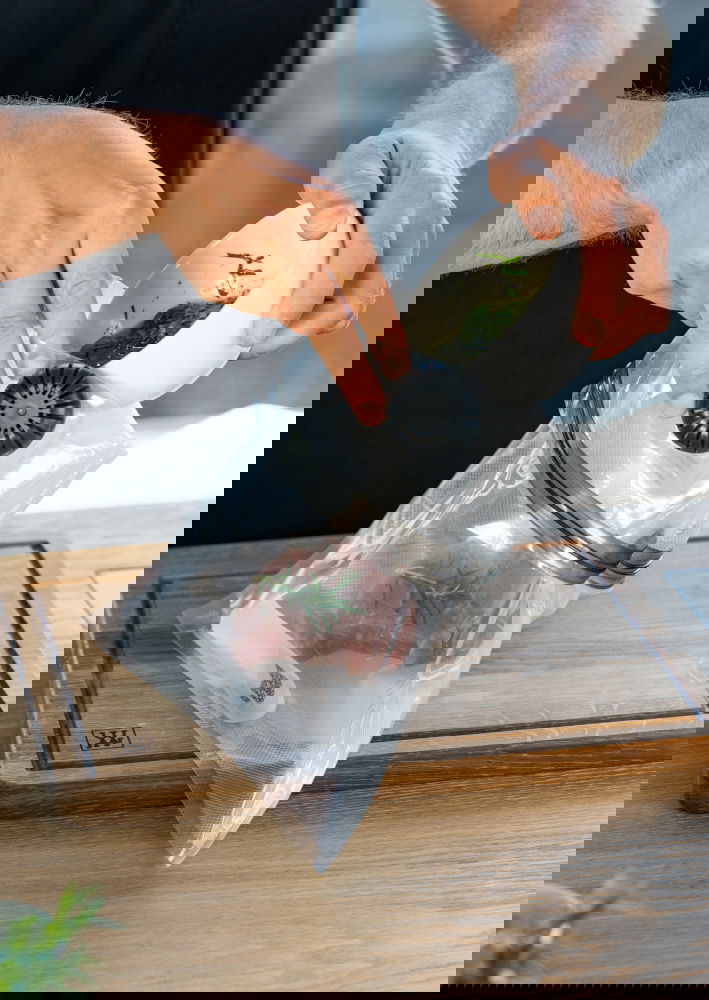 slide-image