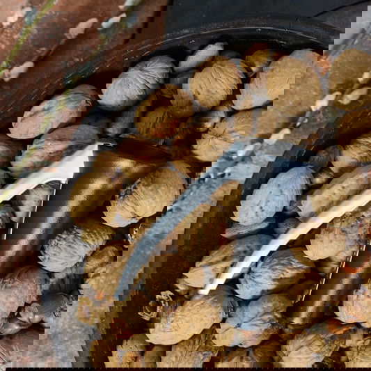slide-image