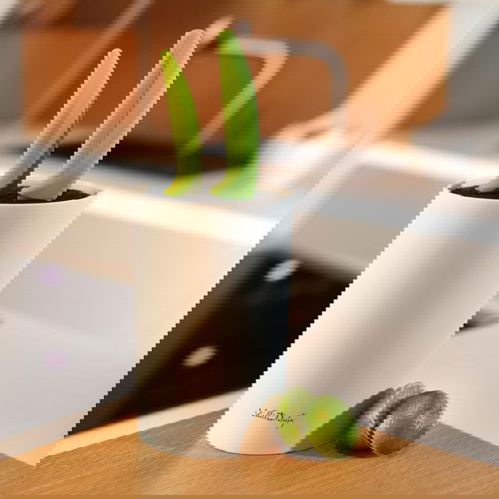 slide-image