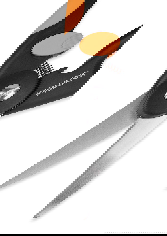 slide-image