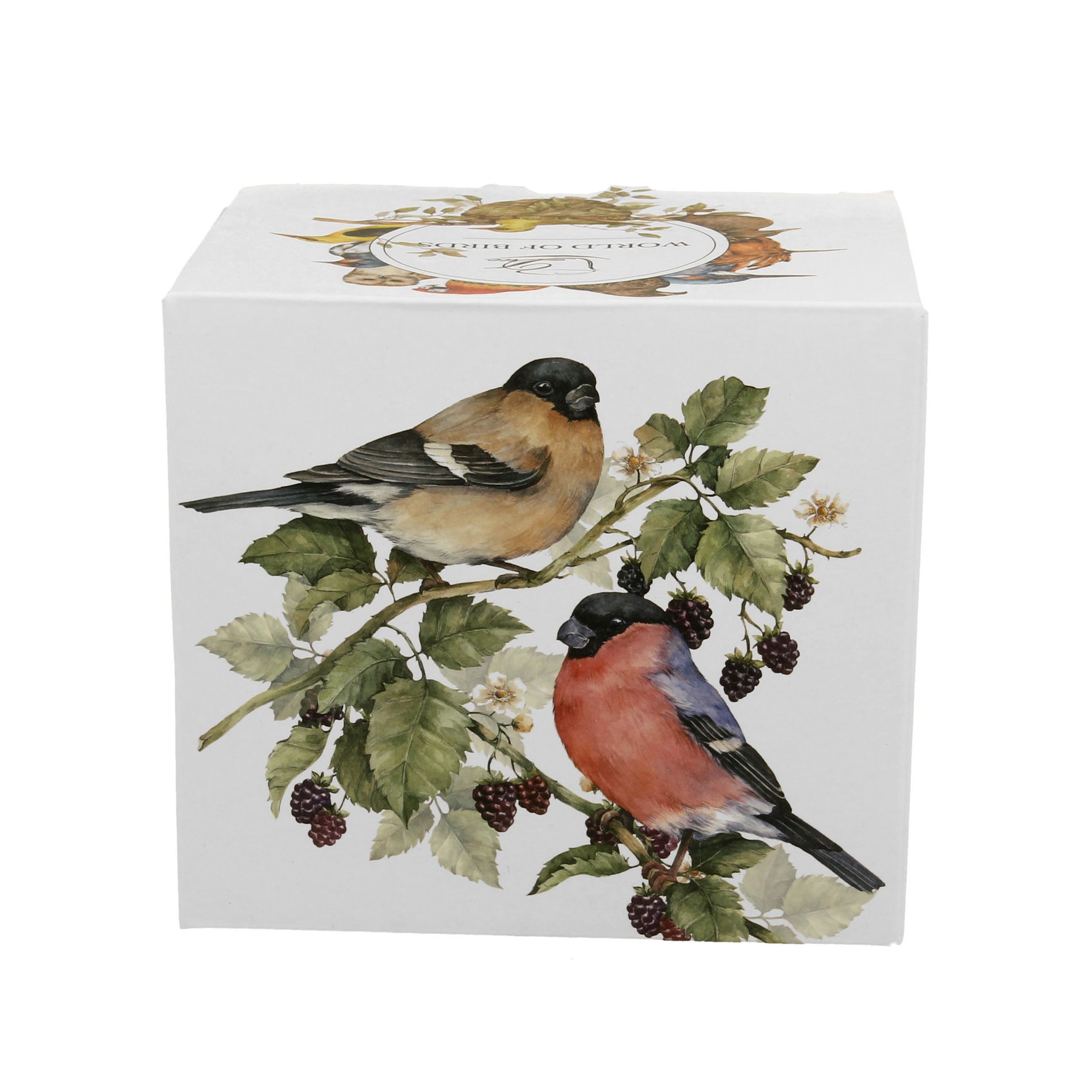 Porcelánový hrnček DUO ANIMALS PTÁCI SVET GILE 400 ml