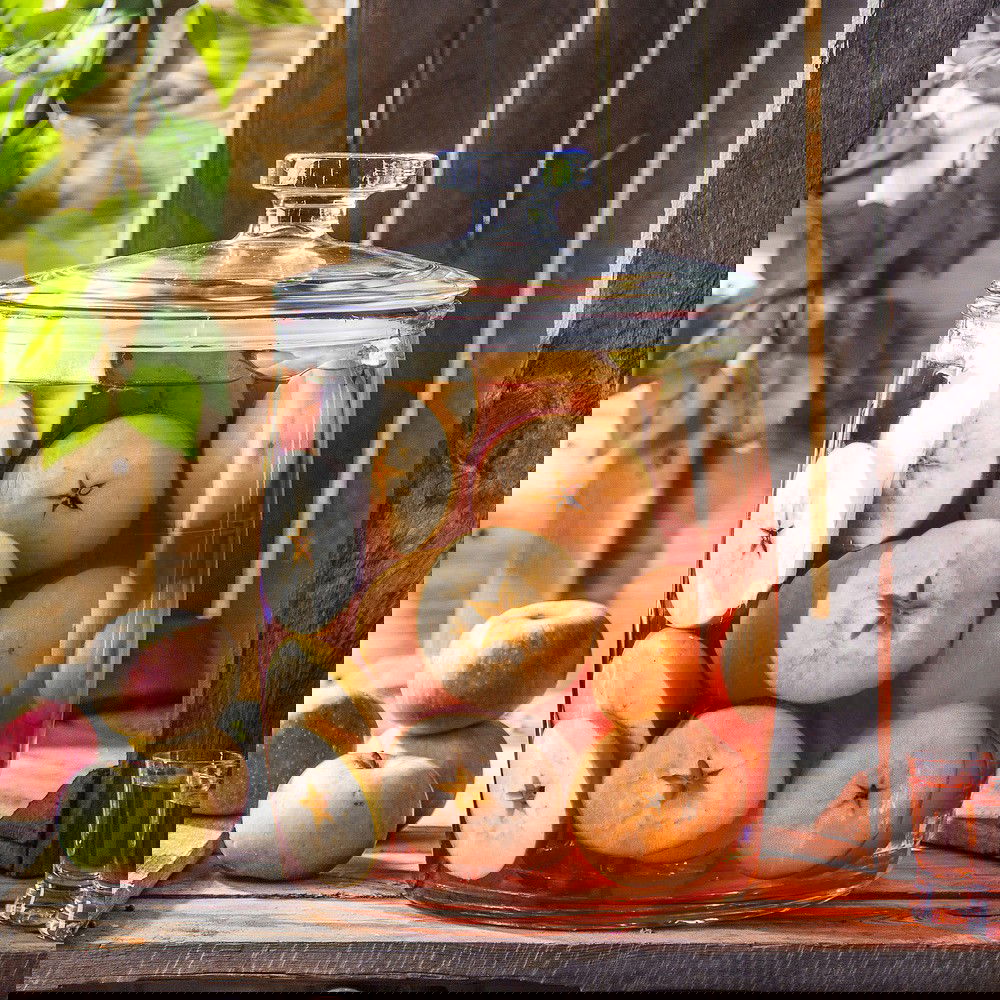 slide-image
