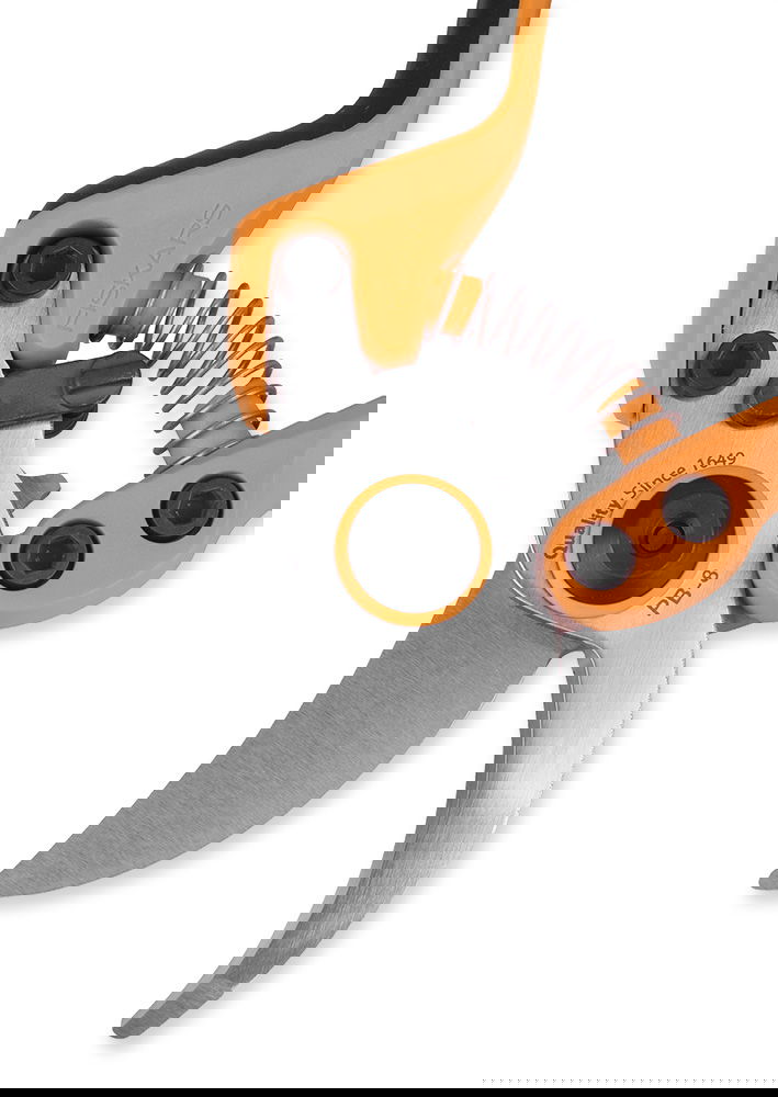 slide-image