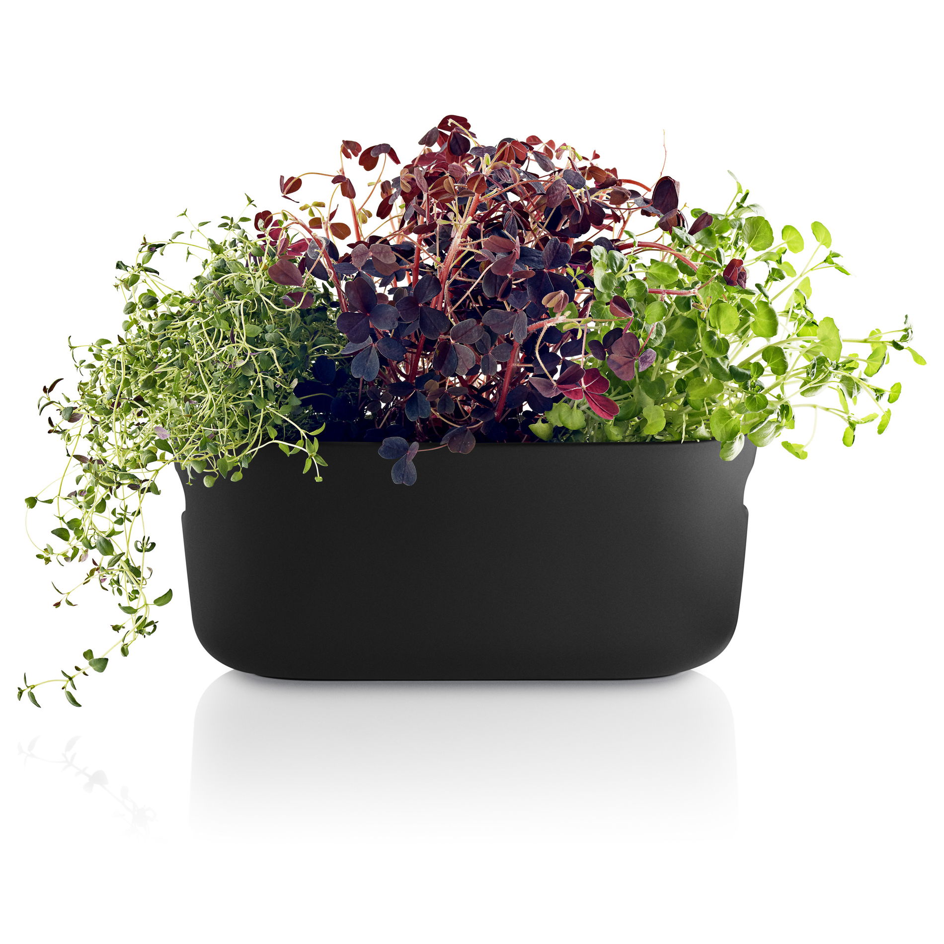 EVA SOLO 31 x 13 cm - keramický kvetináč / obal na samozavlažovanie bylín