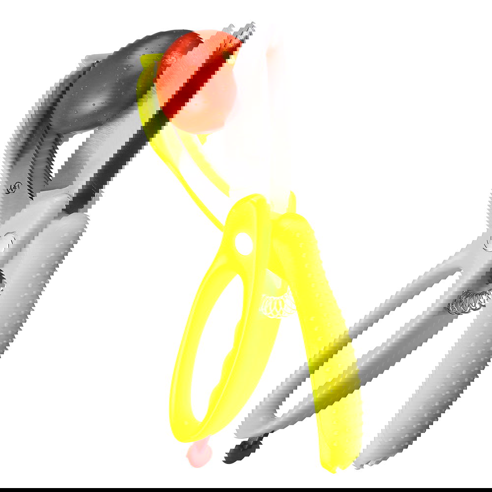 slide-image
