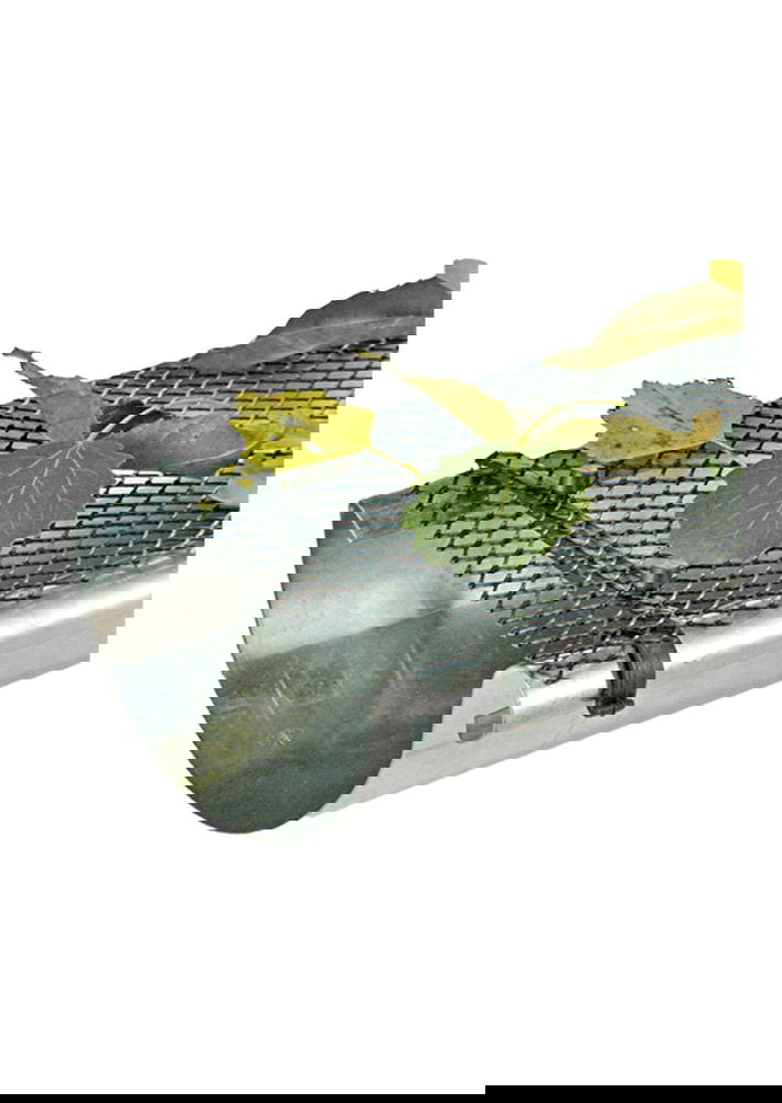 slide-image