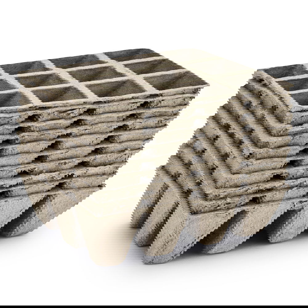 slide-image