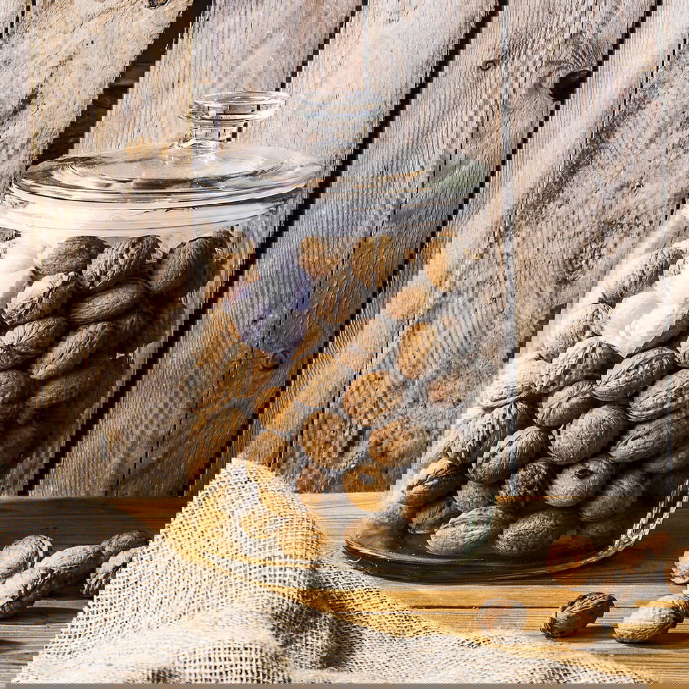 slide-image