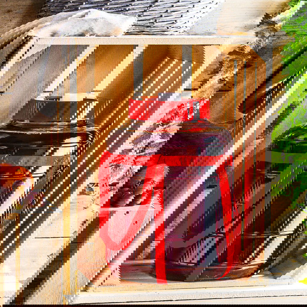 slide-image
