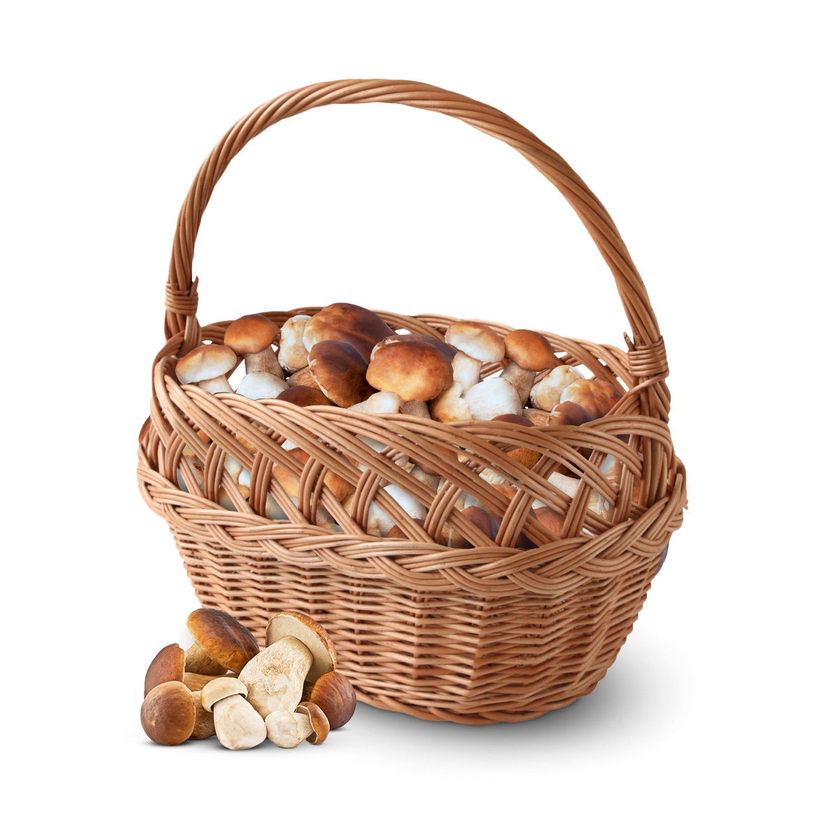 Proutěný košík na houby WNUK 34 cm