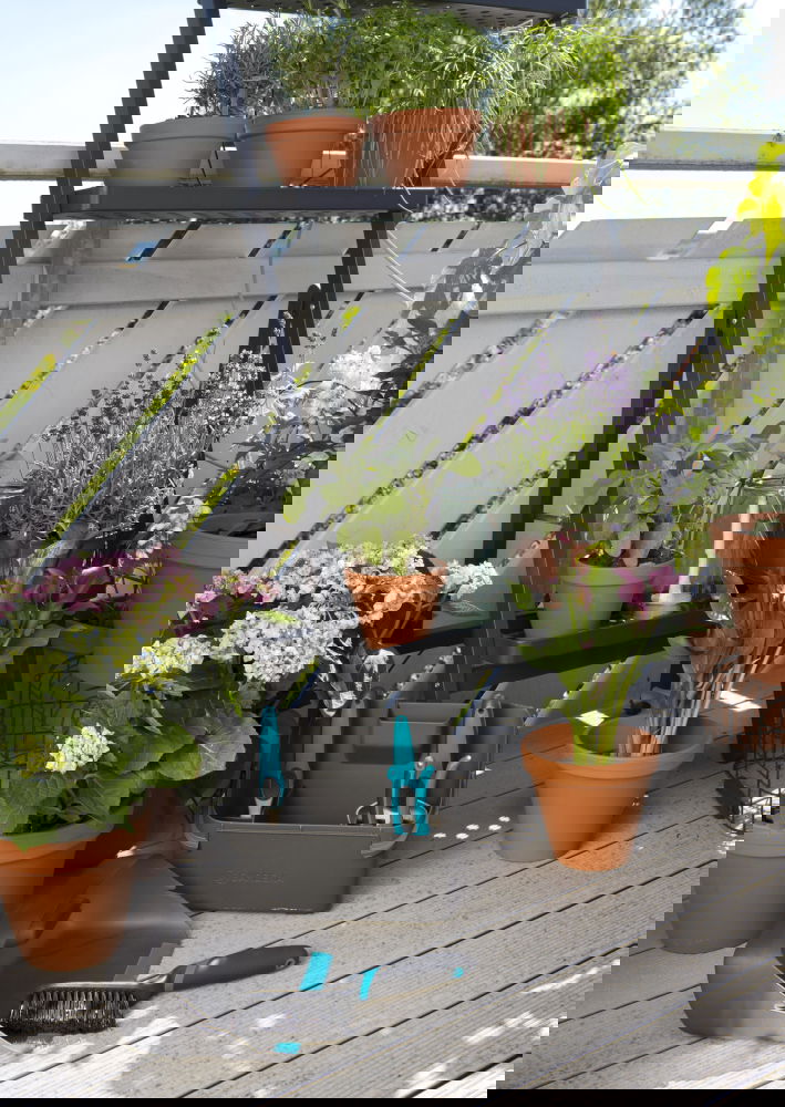 slide-image