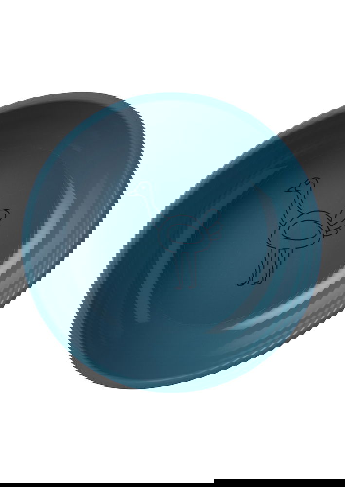 slide-image