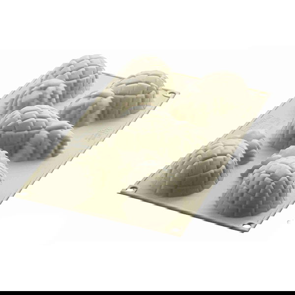 slide-image