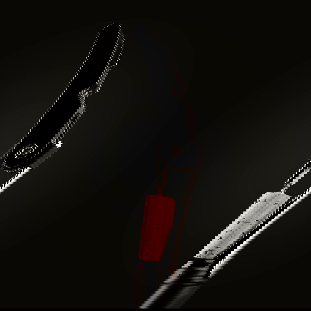 slide-image