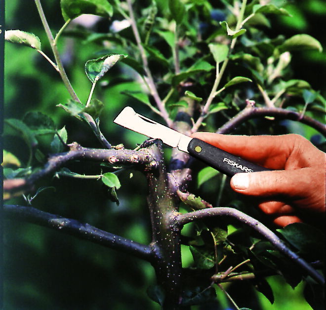 slide-image