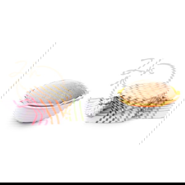 slide-image