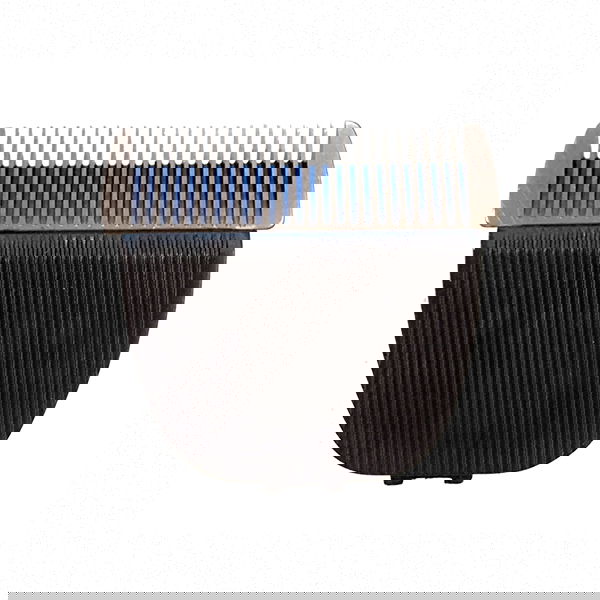 slide-image