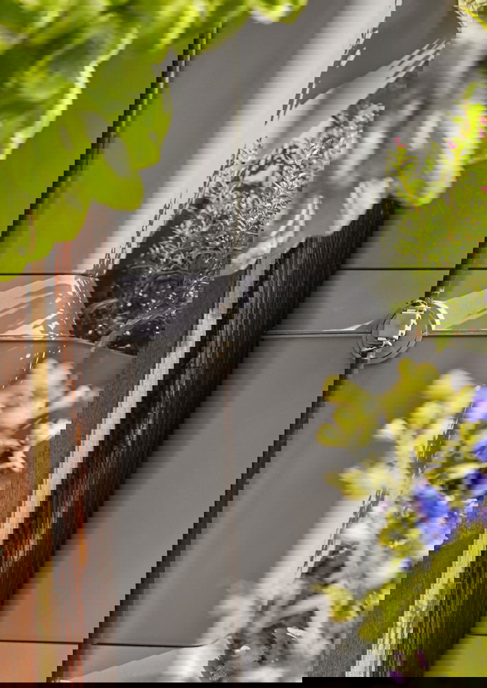 slide-image