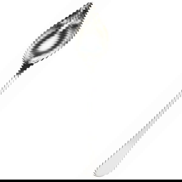 slide-image