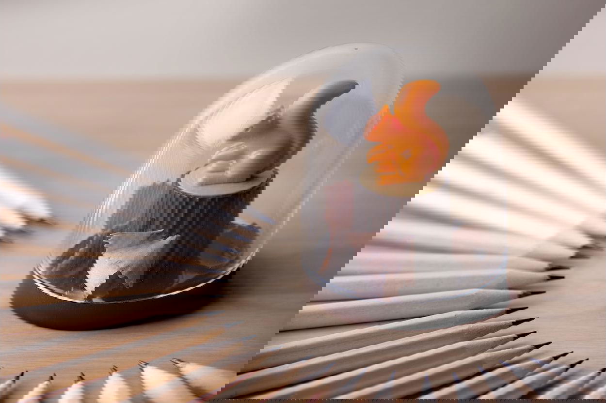 slide-image