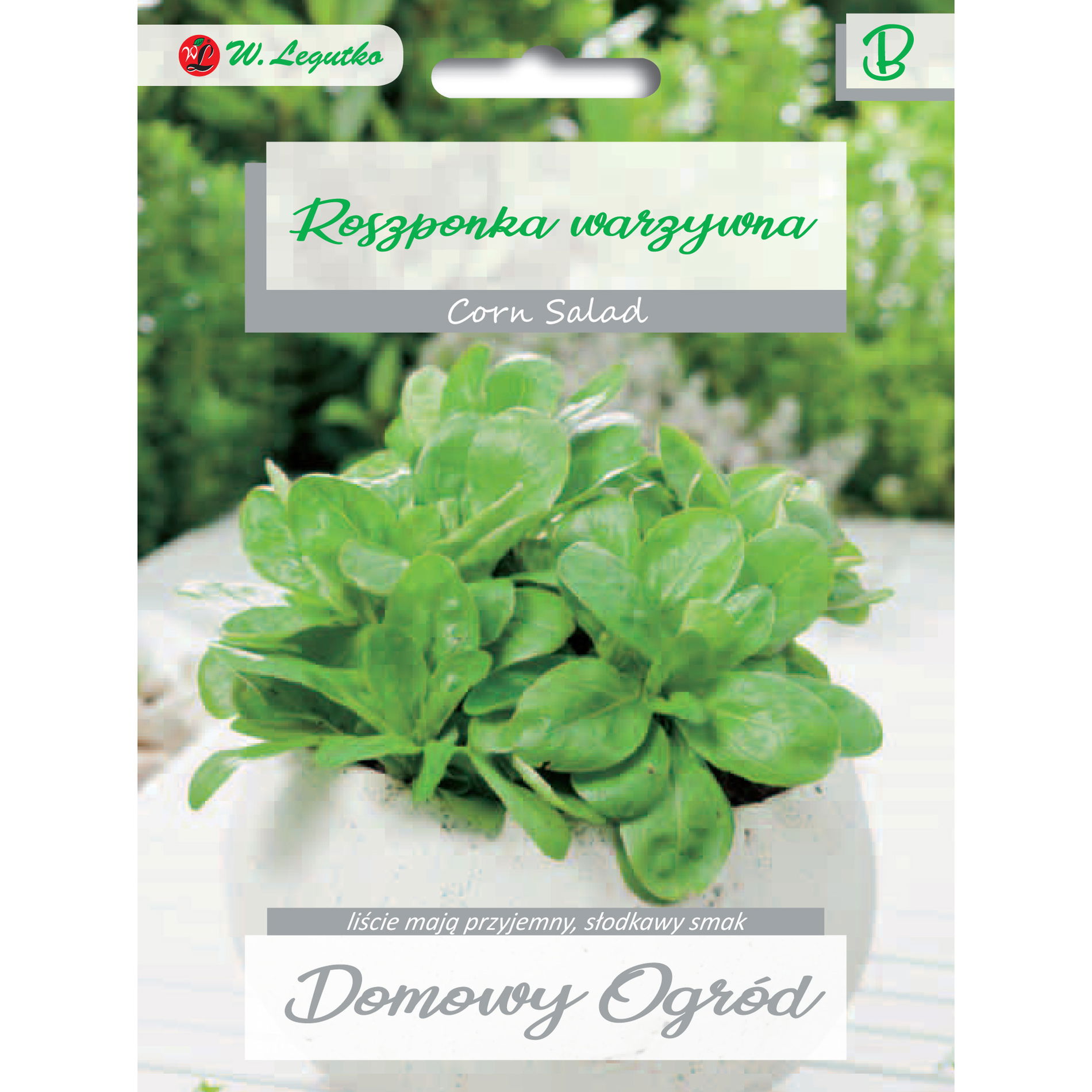 Semienka rukoly zeleninovej W. LEGUTKO DOMOVÁ ZÁHRADA 2 g