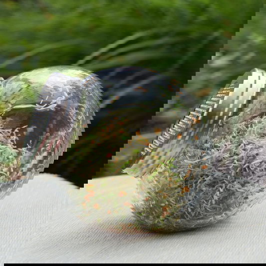 slide-image