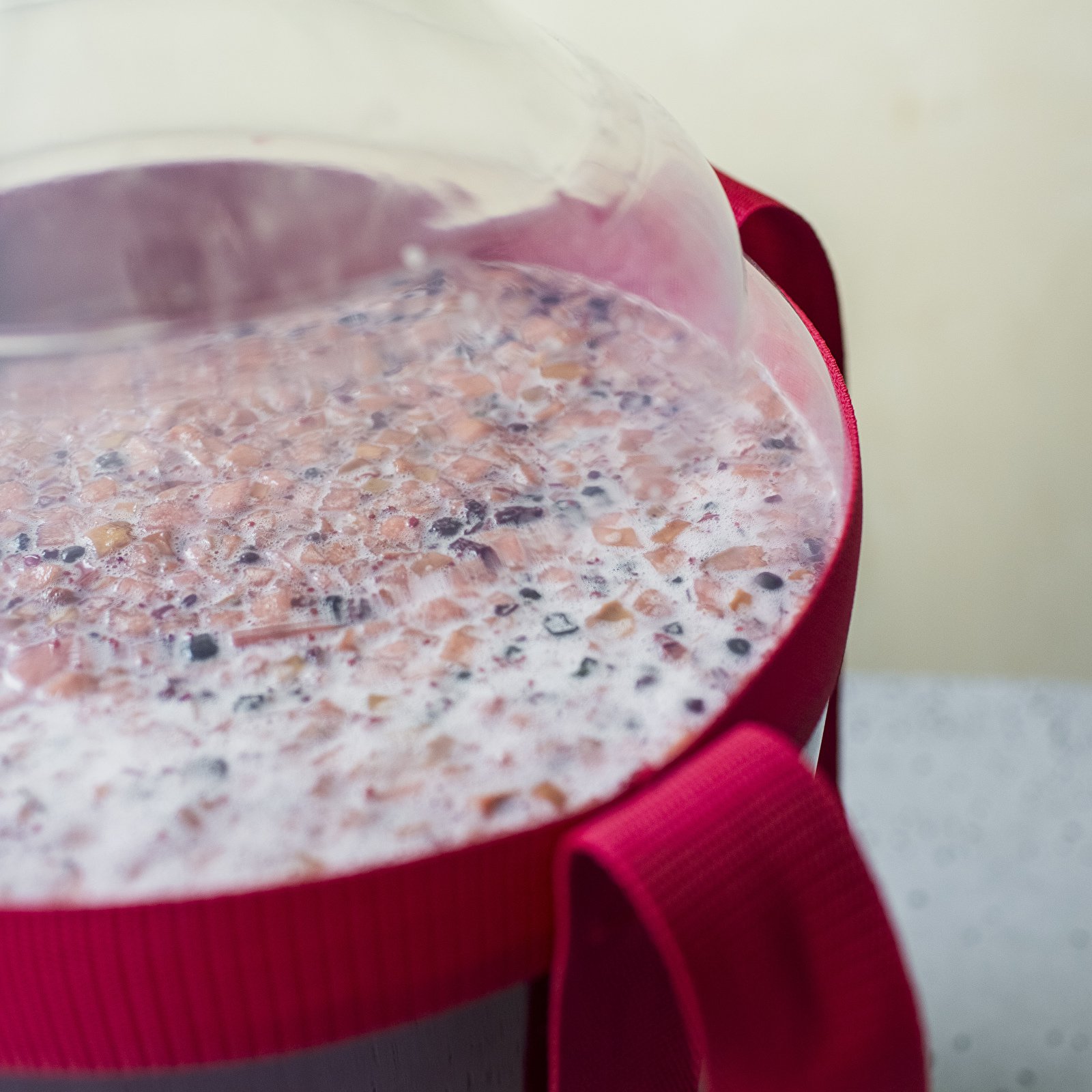 BROWIN ViniTurbo 20 g - vinné kvasinky pro rychlé kvašení