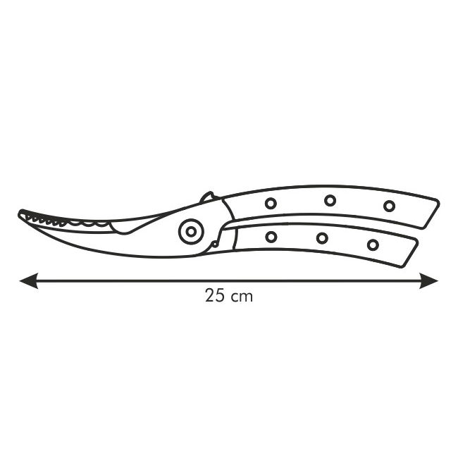 slide-image