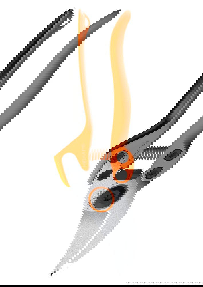 slide-image