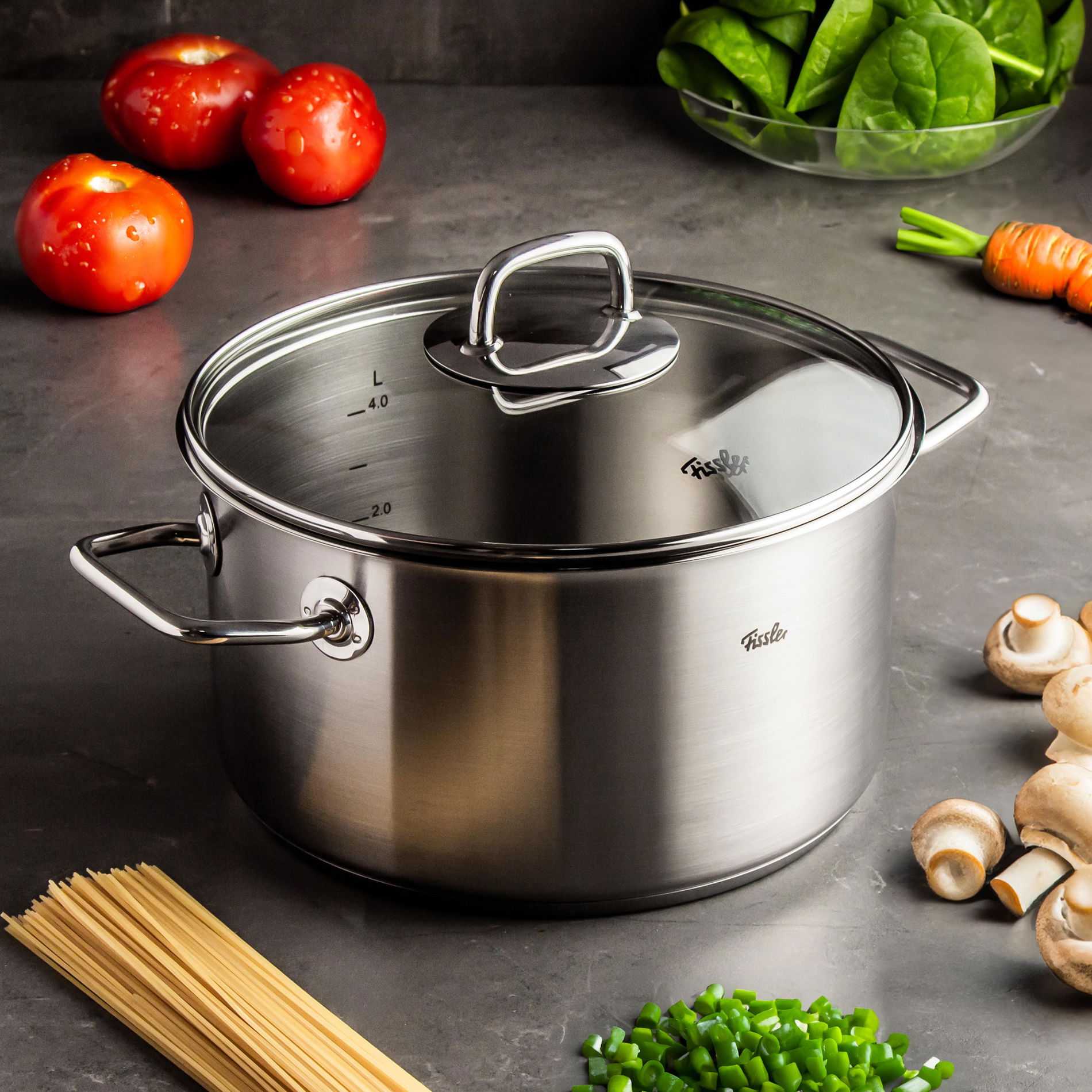 Garnek z pokrywką 5,7 l FISSLER Viseo Garnek z pokrywką 5,7 l FISSLER Viseo