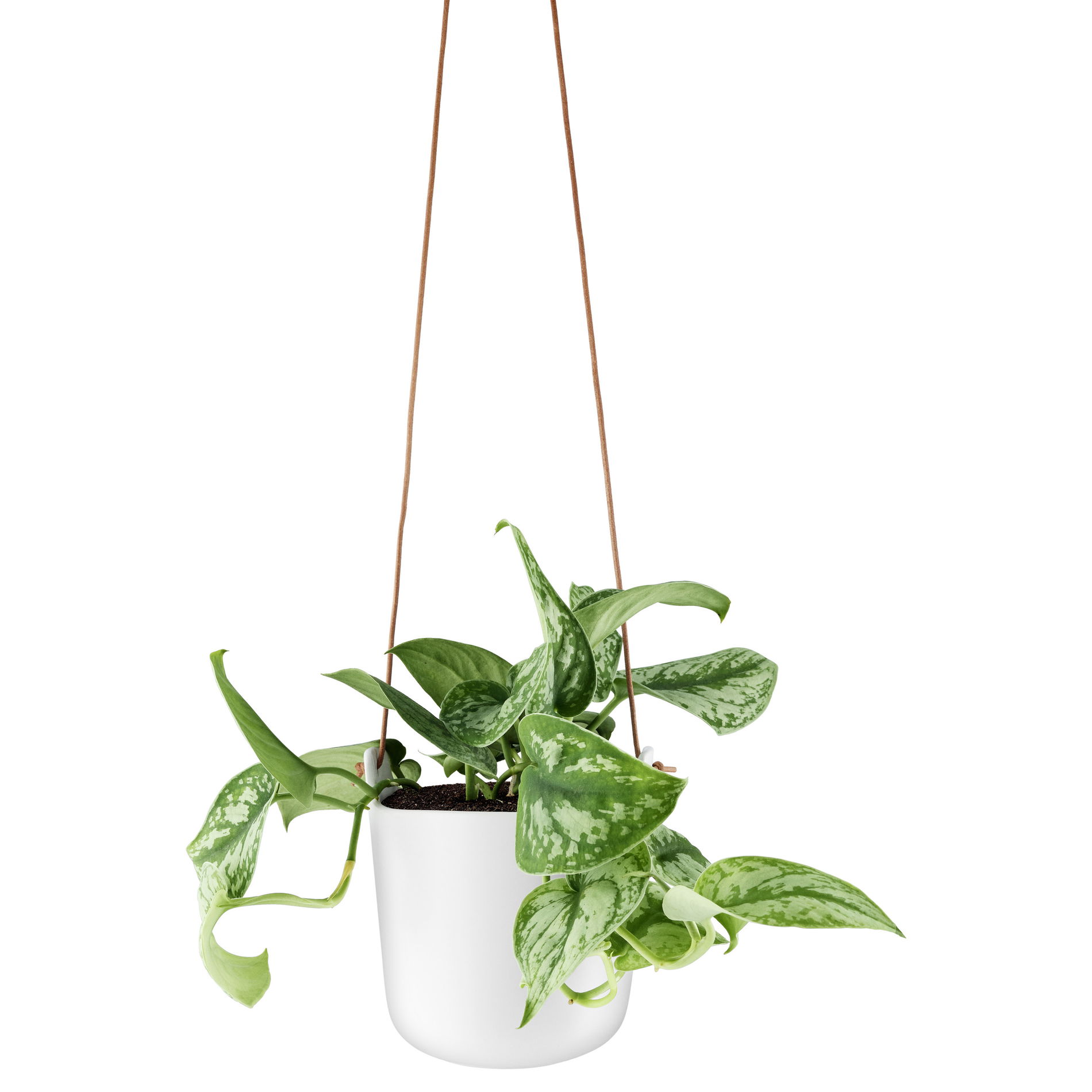 EVA SOLO 15 cm - květináč / samo-zavlažovací obal
