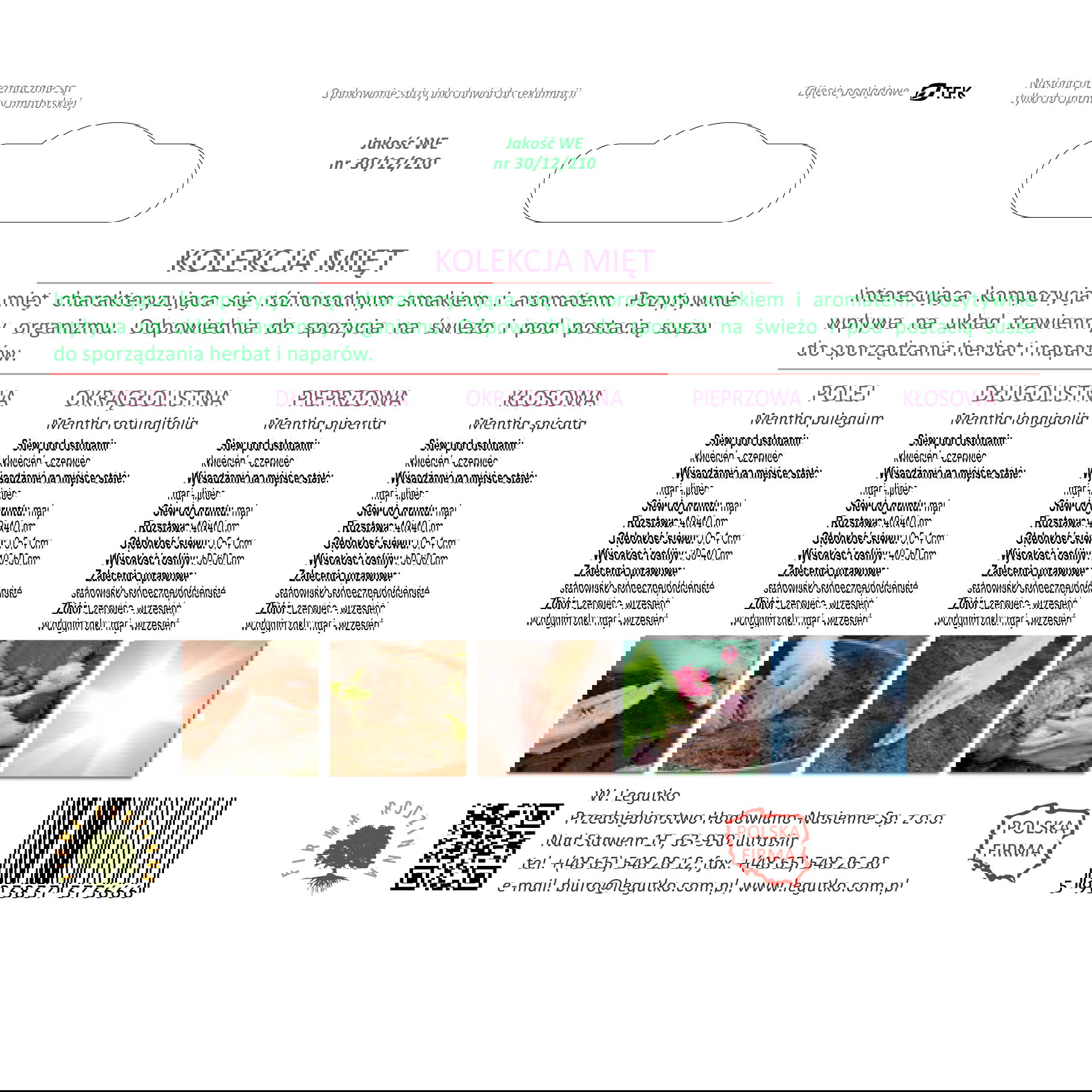 slide-image