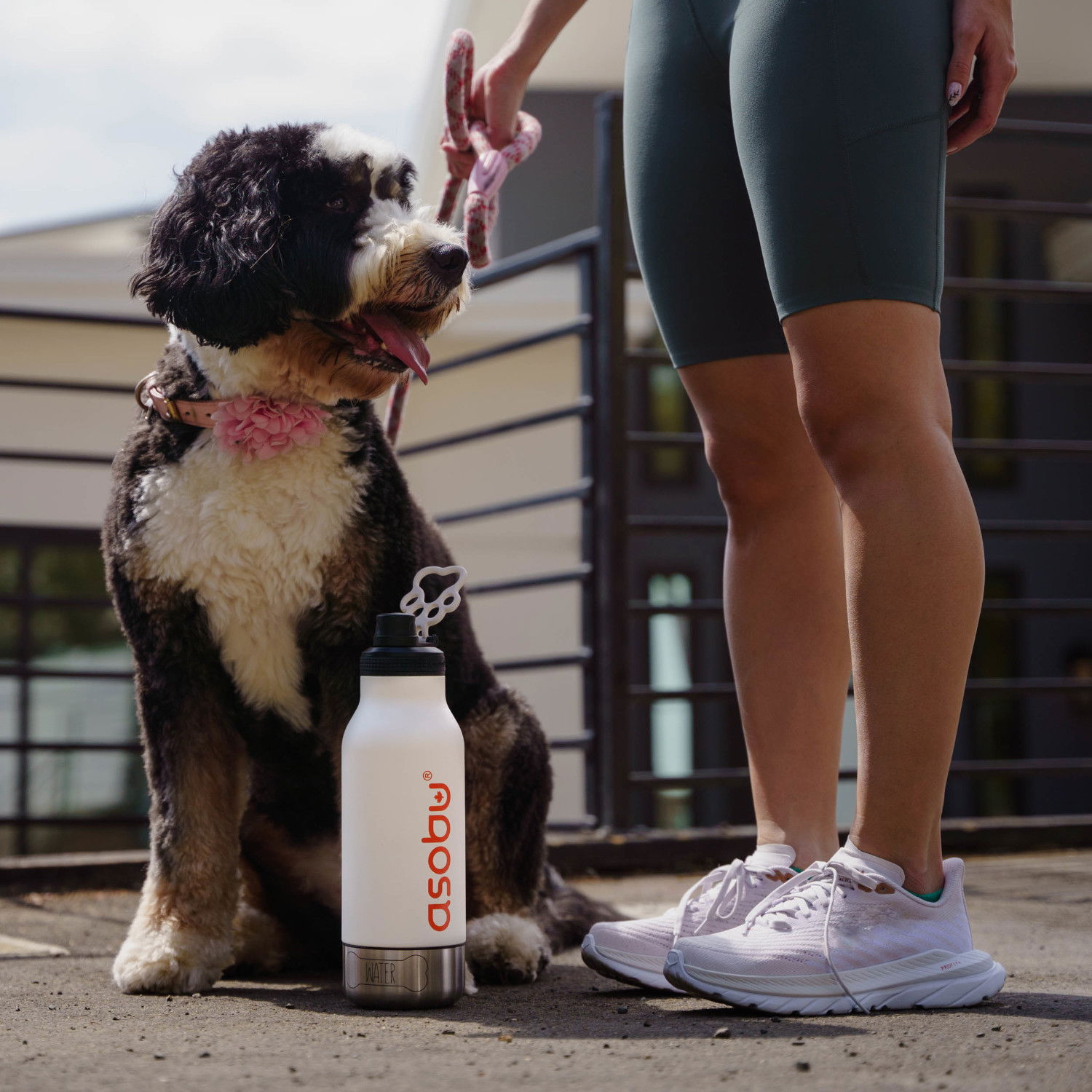 ASOBU The Asobu Buddy White 1 l - termoska na vodu z nerezové oceli s miskami pro psa