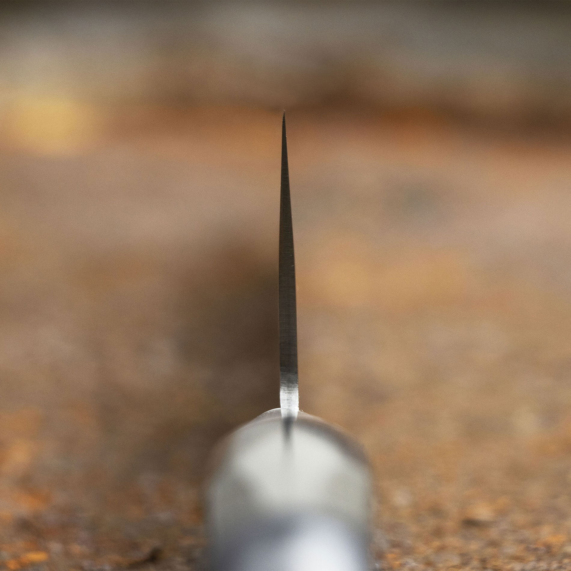 slide-image