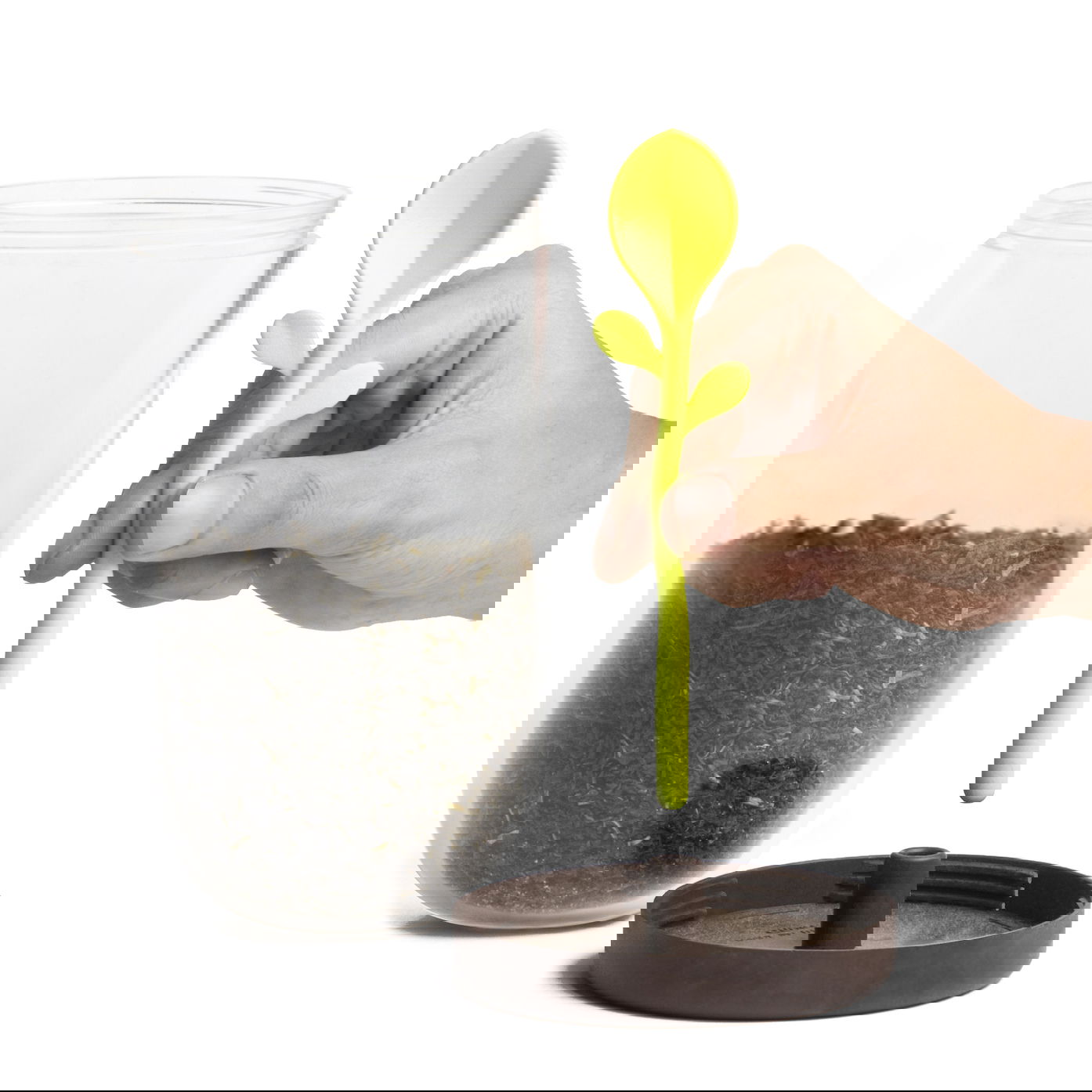 slide-image