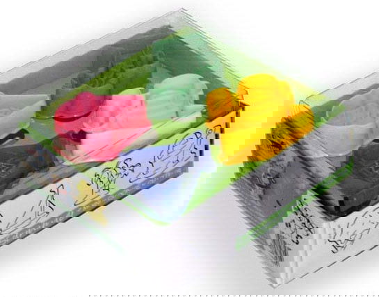 slide-image