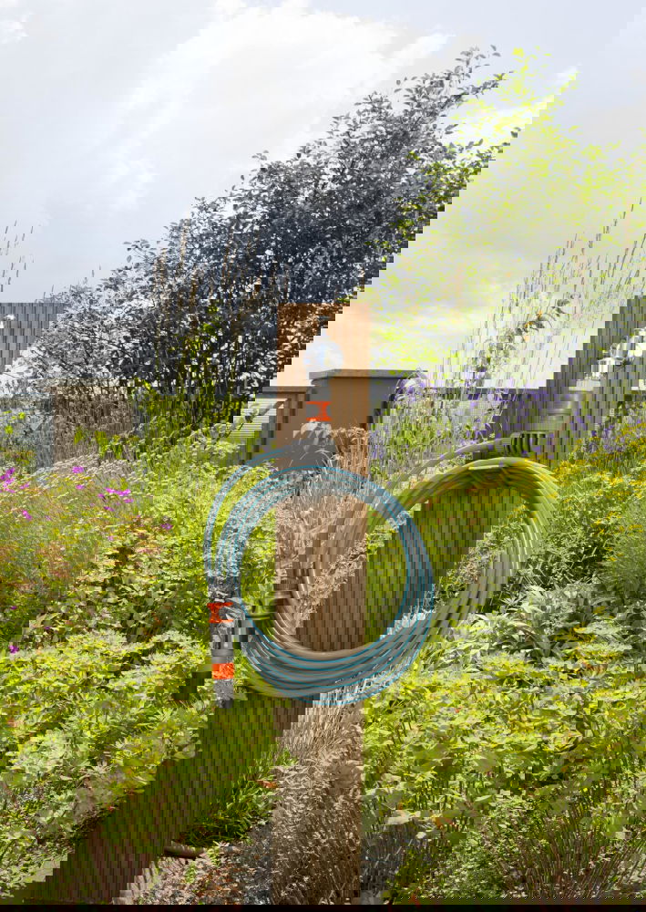 slide-image