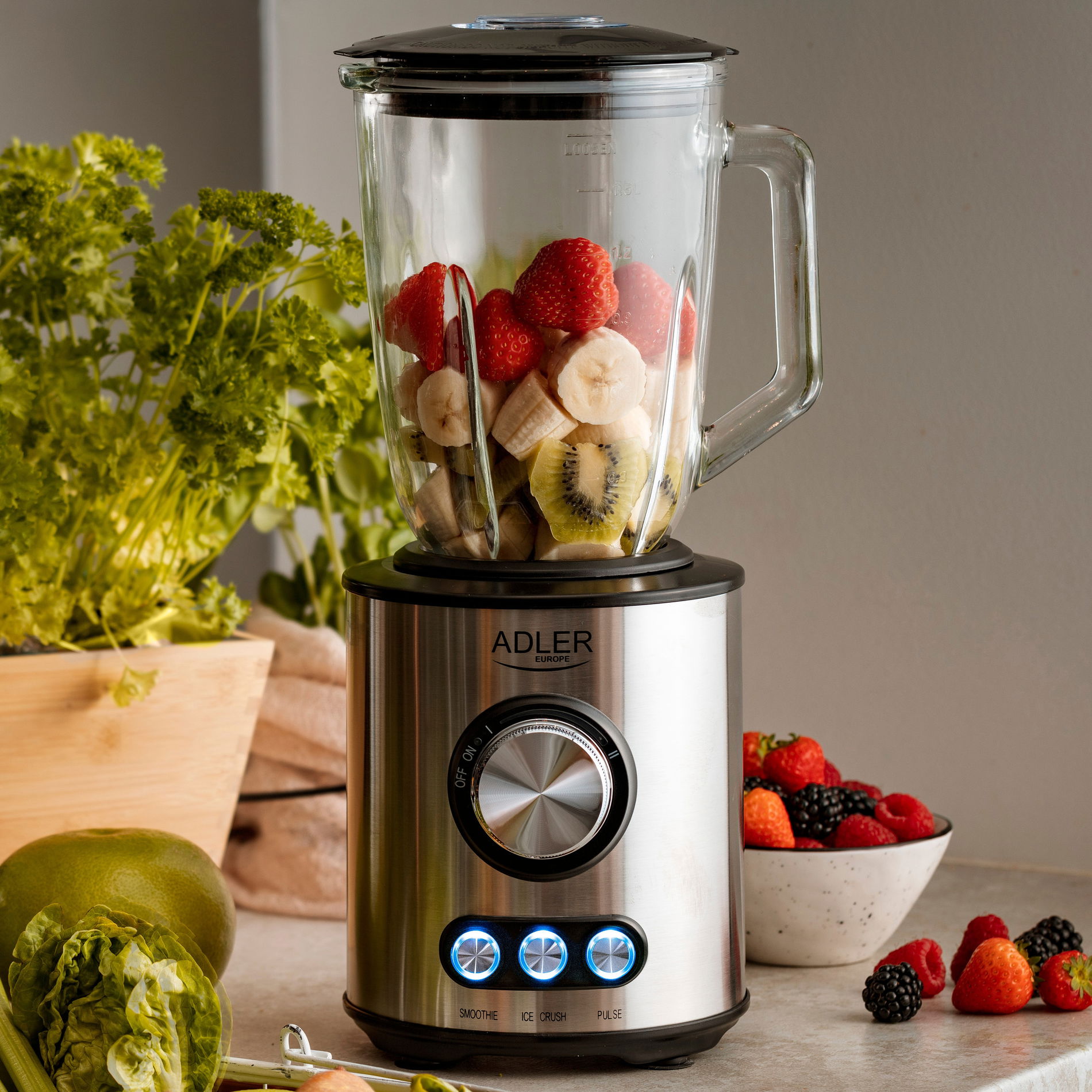 ADLER AD 4078 1700 W - nerezový stolni mixer (smoothie)