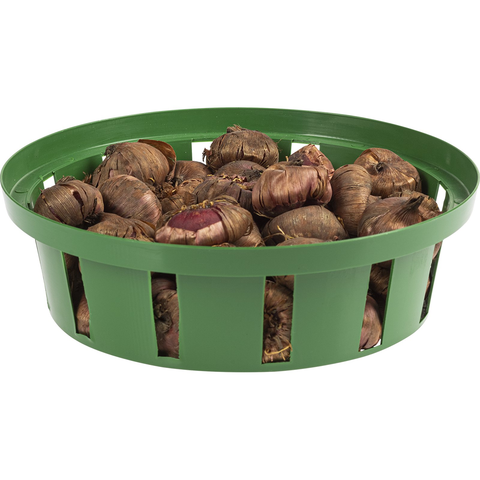 BIOOGRÓD 23 cm - kôš na výsadbu cibúľ / tulipánov