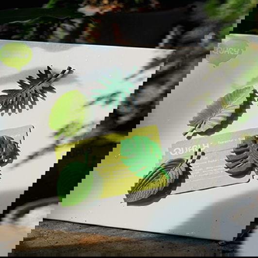 slide-image