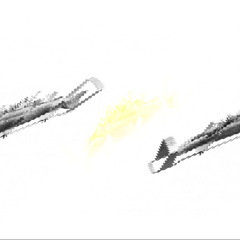 slide-image