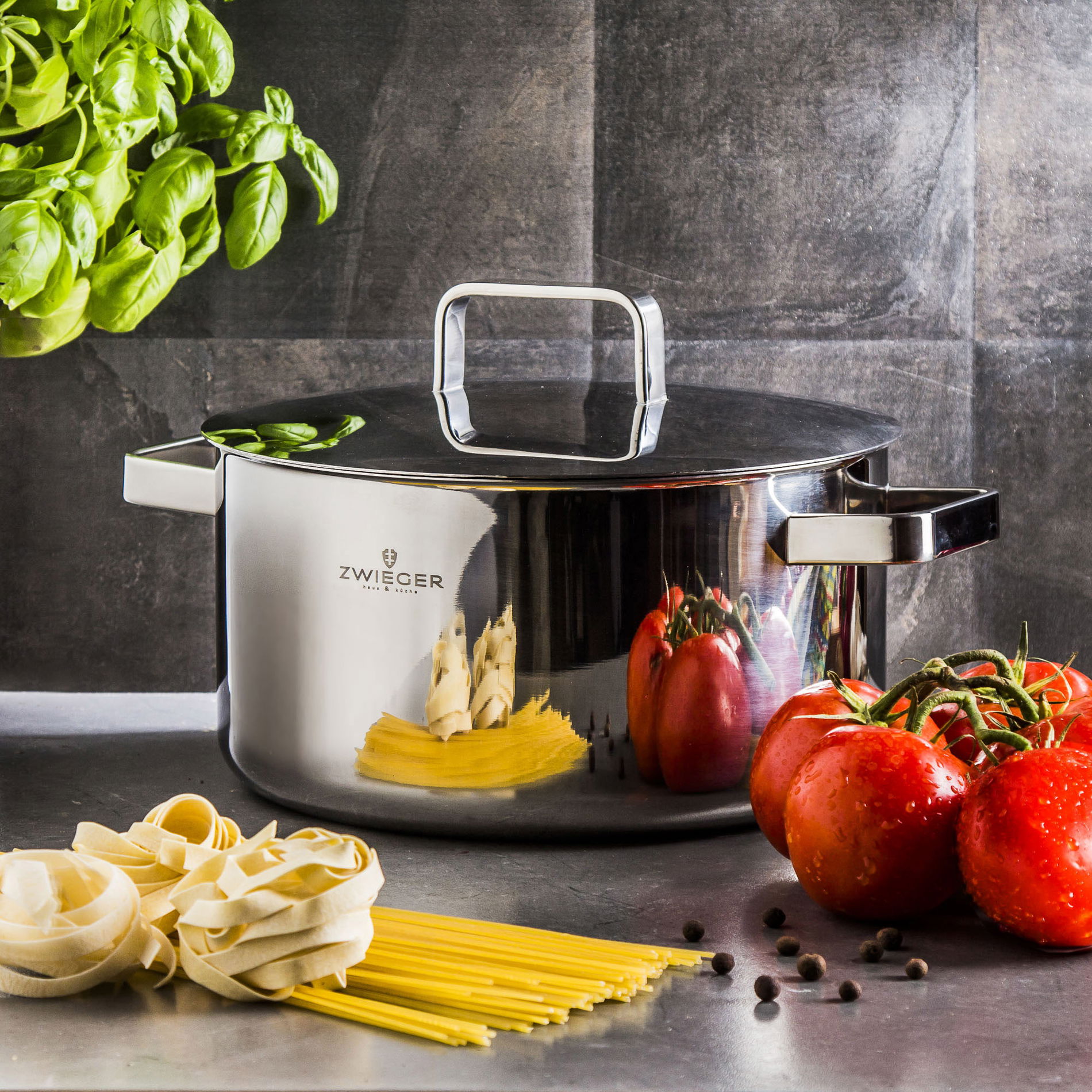 ZWIEGER Thermo Pot 5,2 l - nerezový hrnec s pokličkou